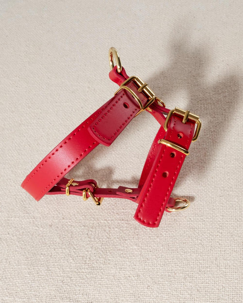 Red dog walk kit featuring matching accessories, designed for stylish outings with French Bulldogs or Cocker Spaniels