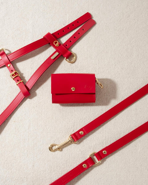 red leather dog poop bag holder with gold accents