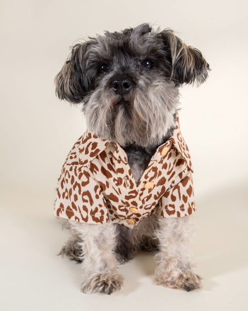 Walk on the Wild Side Leopard Button-Up