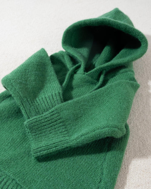 Milan Green Dog Hoodie cute outfits for chihuahuas