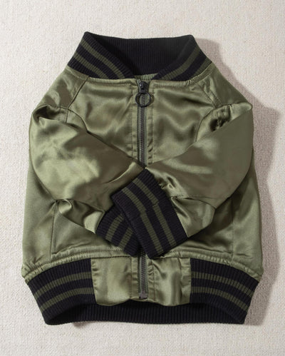 A modern take on a retro classic. Buttery-soft olive green satin practically melts over your pup, with ribbed cuffs and hem, detailed with coordinating green and black stripes. Accented with a chic pewter O-ring pull. 