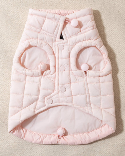 perfect on its own or layered with a cute sweater. This quilted, stylish jacket is fully adjustable, with coordinating light pink cords on the hem, neck, and arm openings. Jacket can be worn over harness, with a small opening for leash attachment on the back. Asymmetrical buttons also make for more secure wear, for even the most portly of pups!. Chihuahua pink jacket.