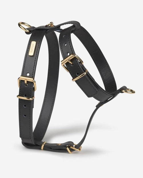 Adjustable dog harness walk kit in a sleek design, ideal for active dogs who love their outdoor walks.