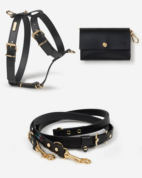 Comfortable dog harness and leash kit for easy walking, featuring adjustable straps for a perfect fit.