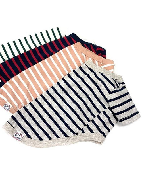 French Stripe Dog T-shirt teacup chihuahua costumes