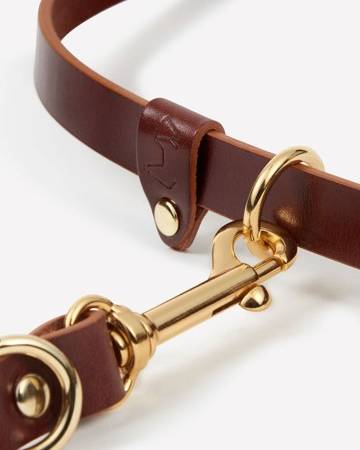Comfortable multi-position brown leather leash for dogs on the move.