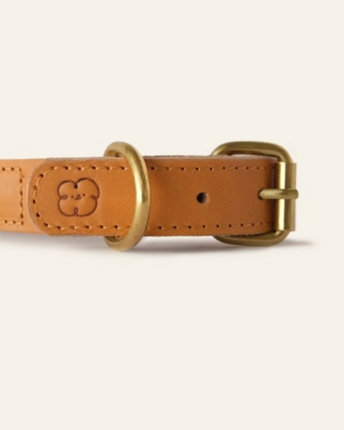 White collar with daisy print for dogs, ideal for brightening up your pet&