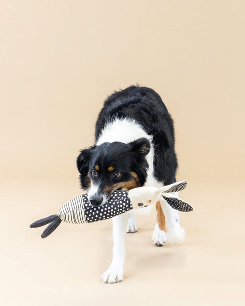 All Ears Canvas Bunny Dog Toy