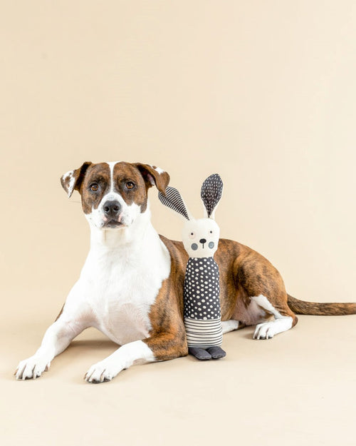 All Ears Canvas Bunny Dog Toy
