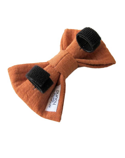 Take a Bow Brown Gauze Bow Tie