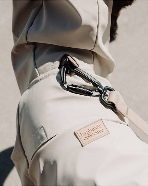 Protective ivory rain jacket for dogs, perfect for rainy days