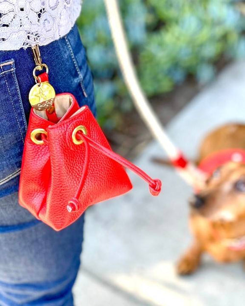 Durable red treat bag holder designed for pet owners on the go