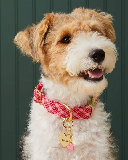 Cute pink heart collar charm, ideal for small dogs like Cavalier King Charles Spaniels and Dachshunds