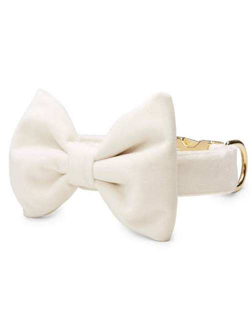 Classic ivory wedding dog bow tie, a timeless accessory for your pup’s ceremony