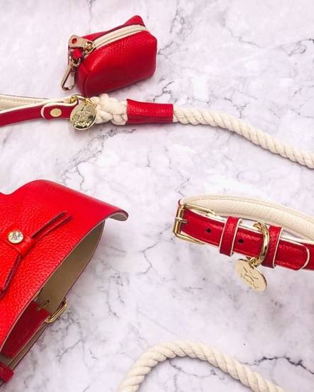 Bright Modern Dog Collar in red, making your dog stand out while ensuring comfort and safety.