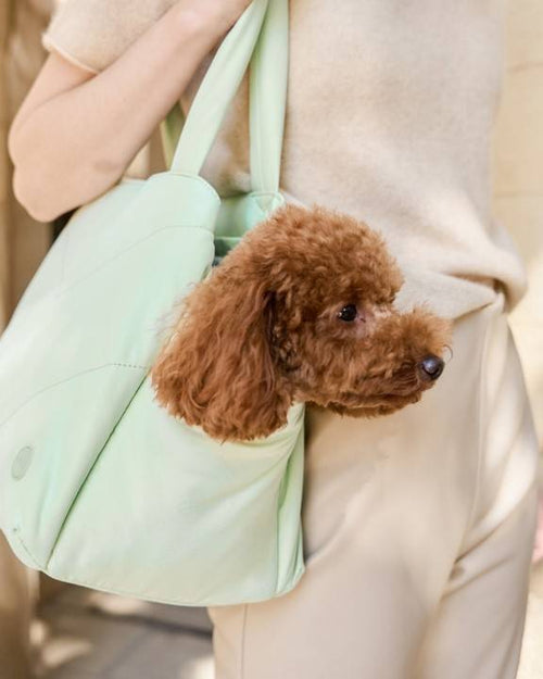 Comfortable and stylish mint carrier tote for small dog breeds like Pugs and Chihuahuas.