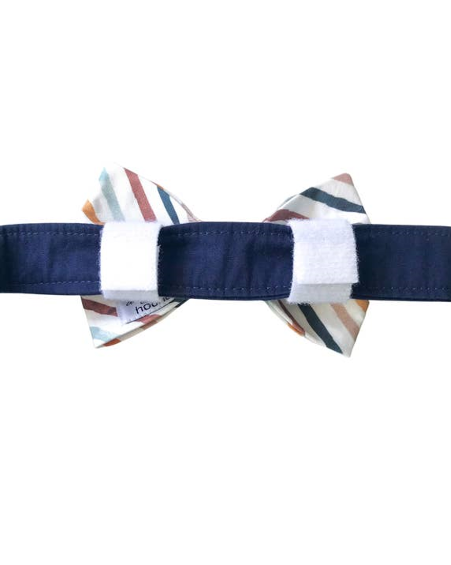 Take a Bow Striped Cotton Bow Tie