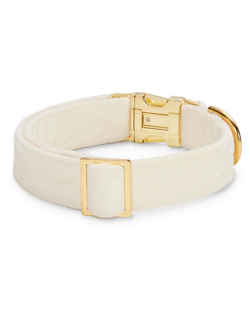 Elegant ivory wedding dog bow collar, adding a touch of sophistication to your pup’s outfit