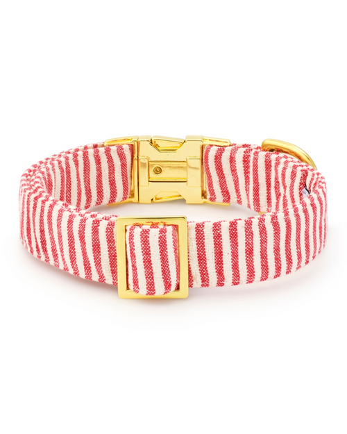Durable candy cane stripe dog collar with gold hardware, festive yet versatile pet collar for all seasons