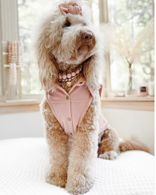 Chic Skinny Pink Dog Necklace - Stylish and elegant for a fashion-forward pup.
