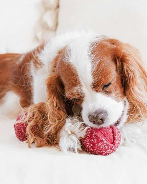 Handcrafted cherry dog toy with red plush and green stems – ideal for fetch games