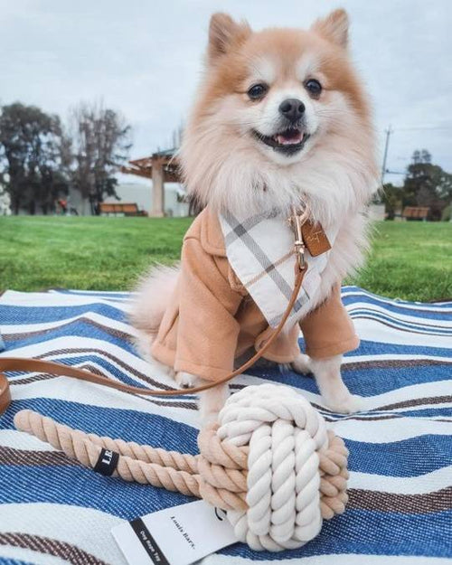 Tan and white rope knot toy, great for small to medium-sized dogs like French Bulldogs and Cocker Spaniels.