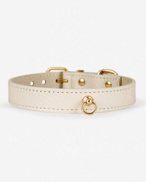 Close-up of ivory leather dog collar highlighting premium materials and stitching