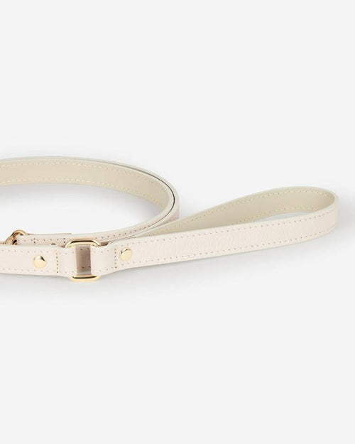 Sleek ivory leather dog leash, a stylish and sturdy option for your dog’s walks