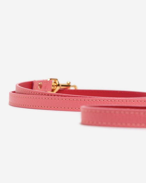 Bold coral dog walk kit featuring a soft, padded harness and leash, ideal for active and fashionable pets.