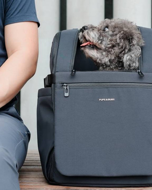 Functional Pet Carrier Backpack in black, perfect for hiking and traveling with your small dog.