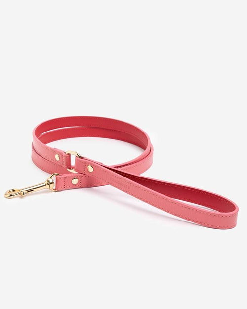 Pink leather dog leash with gold hardware, perfect for fashionable walks