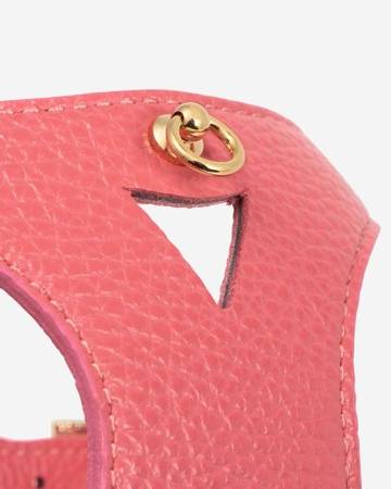 Modern pink dog harness modeled on small breed, ideal for Papillons and Havanese