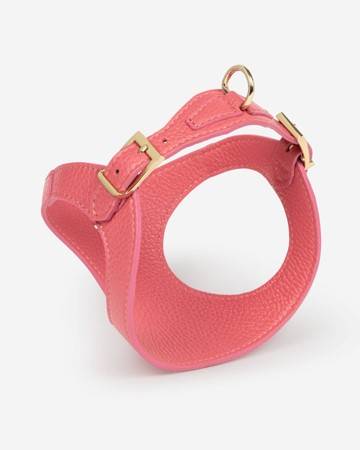 Adjustable pink dog harness with breathable padding, fits Cocker Spaniels and Cavalier King Charles Spaniels