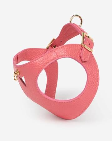 Soft pink modern dog harness with breathable mesh, great for Boston Terriers and French Bulldogs