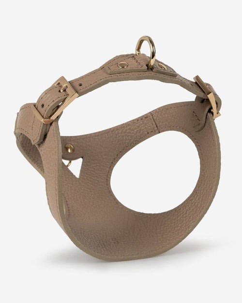 Taupe dog harness displayed flat, emphasizing material quality and design
