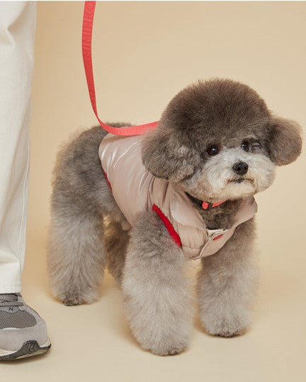 Ivory Cloud Puffer Vest. chihuahua puffer jacket