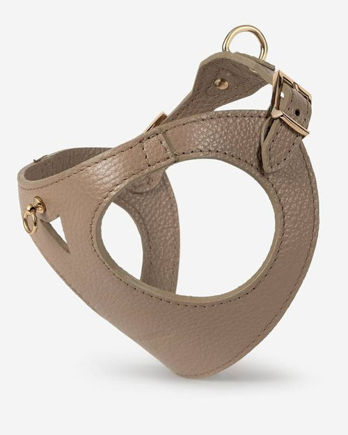 Close-up of taupe dog harness buckle, highlighting sturdy construction