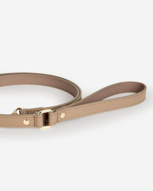 Full-length taupe leather dog leash displayed on wooden surface