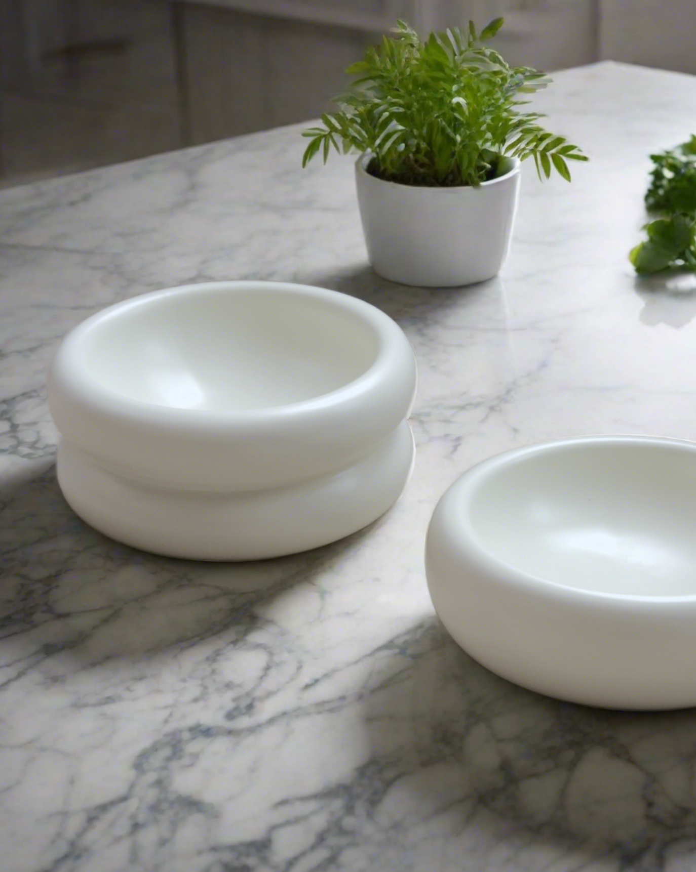 The Modern Muse Tall Pet Bowl is crafted from quality ceramic, which is both chic and practical. Home decor friendly, this bowl can be paired with the Modern Muse Low Pet Bowl for the perfect bowl combo.