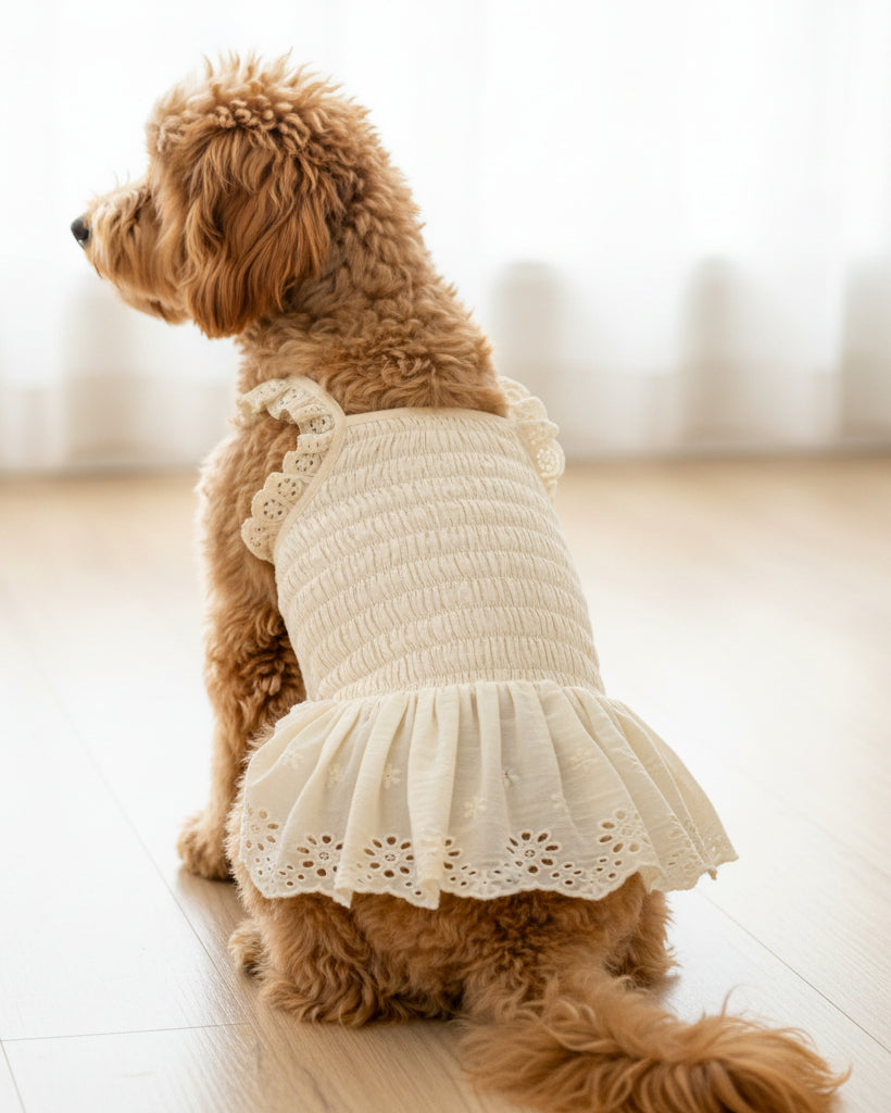 elegant dog dresses Blush Dog Dress