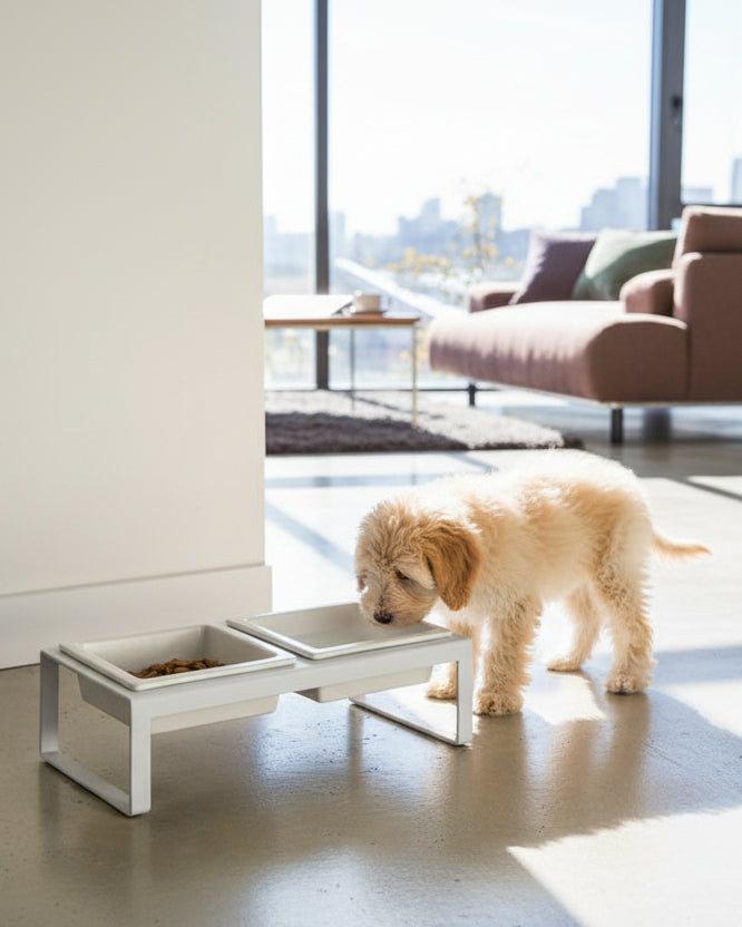 Minimalist Dog Bowls, Elevated Feeding Set, White – FURB