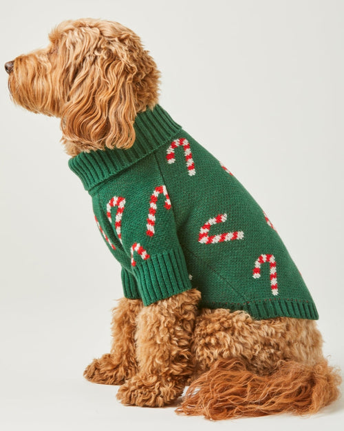 Candy Cutie Green Knit Dog Sweater