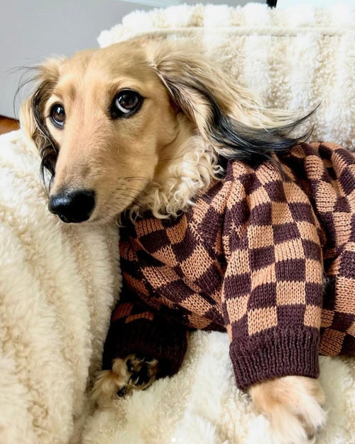 Arlo Brown Check Sweater Product Image Detail. pug sweater