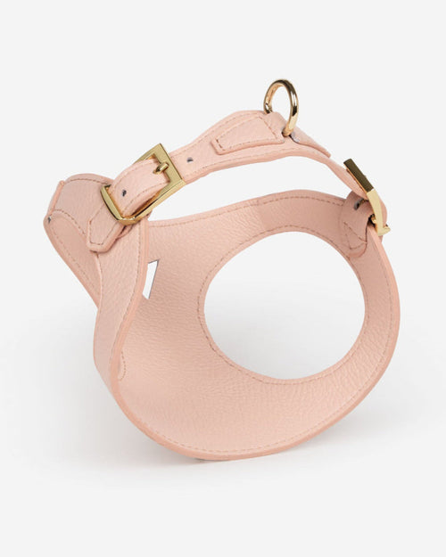 Back view of blush pink leather dog harness, adjustable and comfortable fit