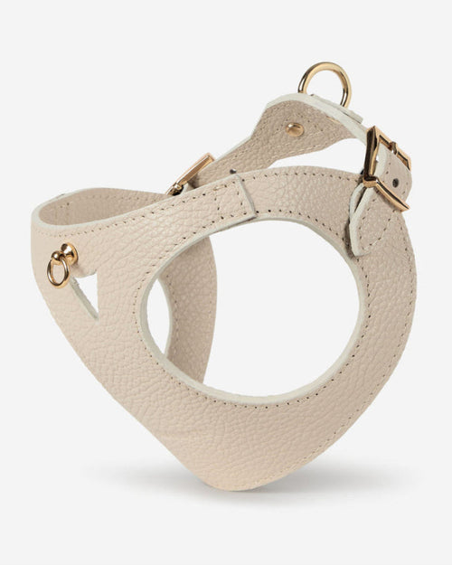 Luca ivory leather dog harness front view, elegant and secure for small dogs