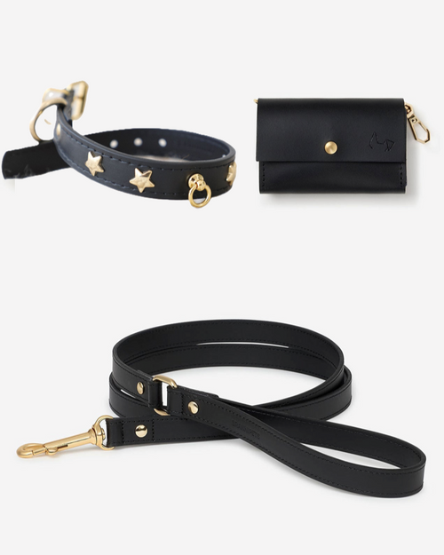 Nara black leather studded dog collar and leash kit, edgy and stylish for small dogs, durable premium leather