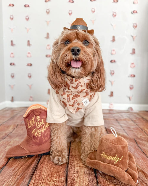 Close-up of Buckaroo western print dog bandana in brown, showcasing detailed cowboy-inspired design.