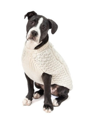 Natural cable-knit dog sweater, offering both warmth and style for your furry friend