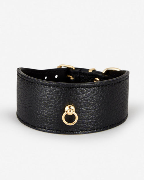 Close-up front of Roma black leather dog collar, elegant wide design