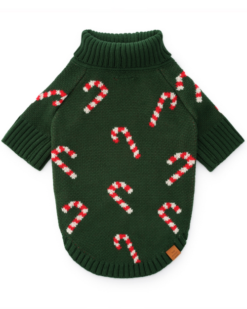 Candy Cutie Green Knit Dog Sweater